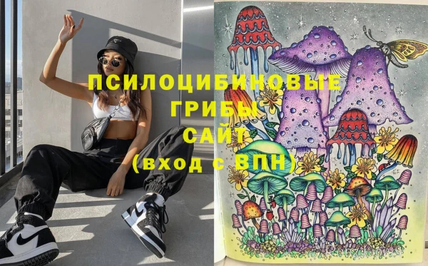 соль курить ск Белокуриха